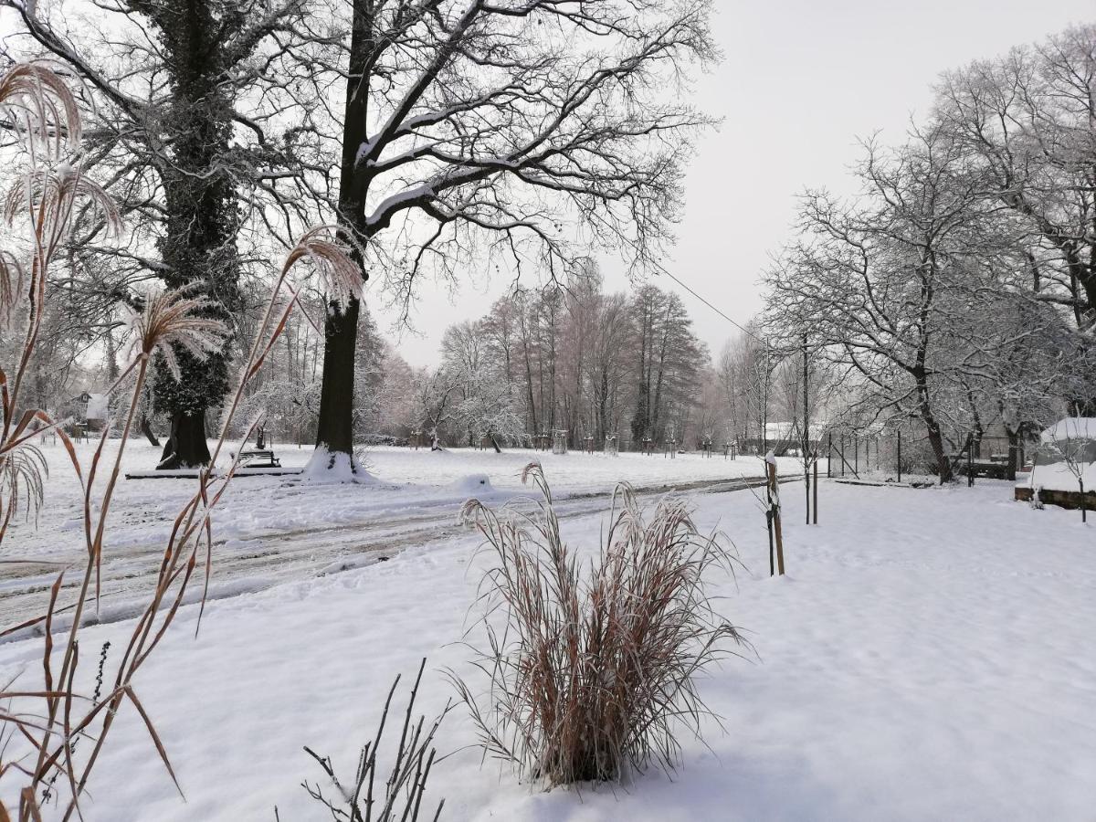 Apartmán Gruener Wald Burg Kauper Exteriér fotografie